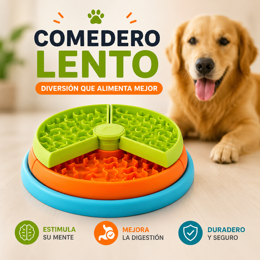 Comedero interactivo para perros con 3 divisiones